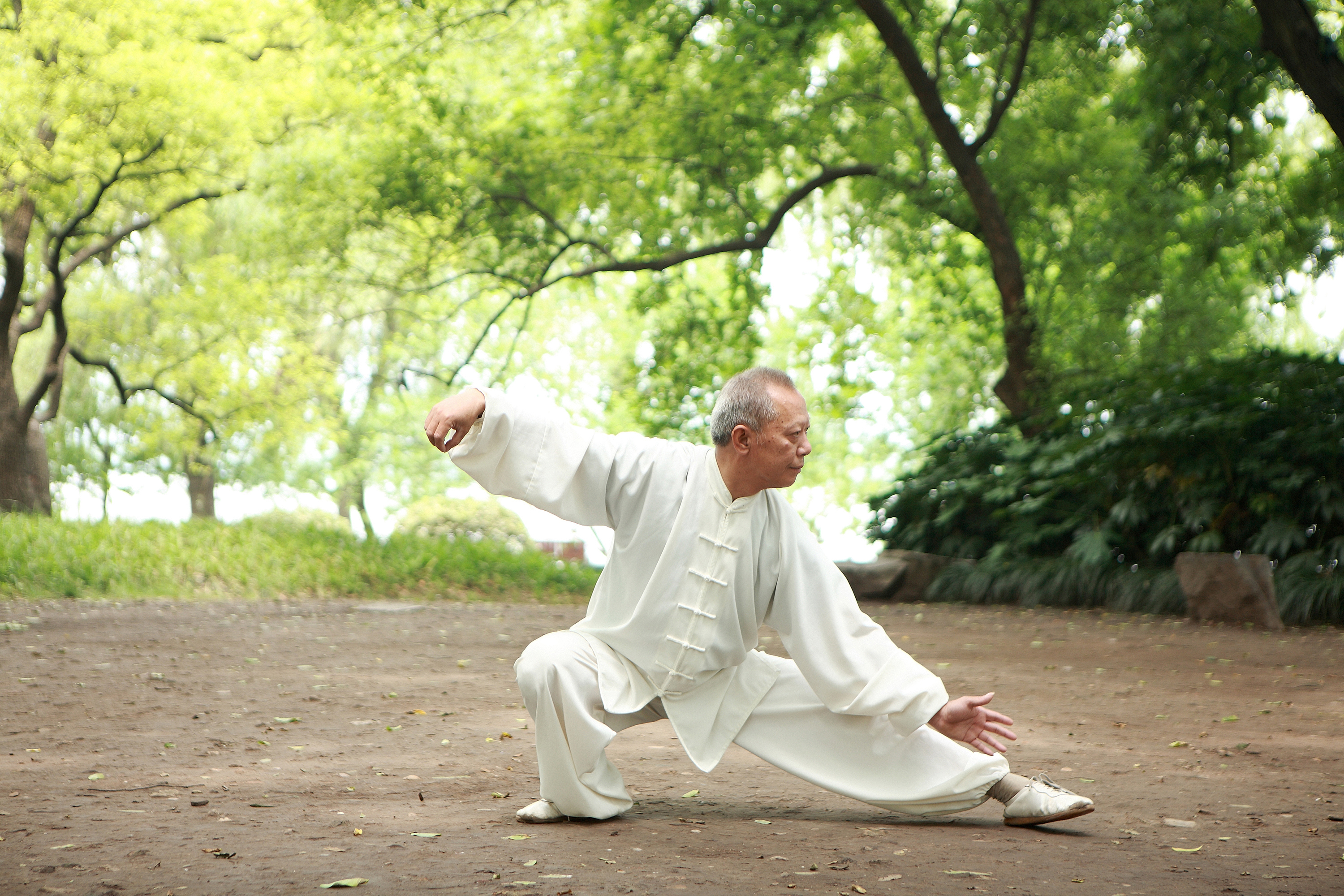 Tai Chi